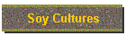 Soy Cultures