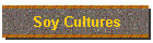 Soy Cultures